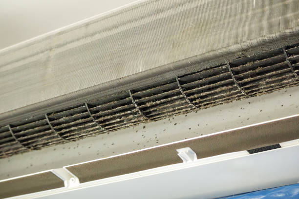 Best Dryer Vent Cleaning Services  in Rapid City, SD